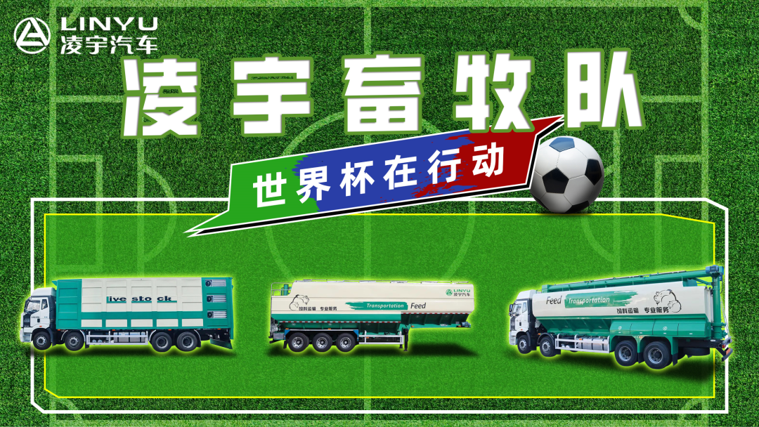 奪冠世界杯！你注意到這支球隊(duì)了嗎？